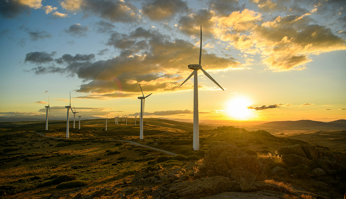Wind Mill - Saws, Shears, Cutters